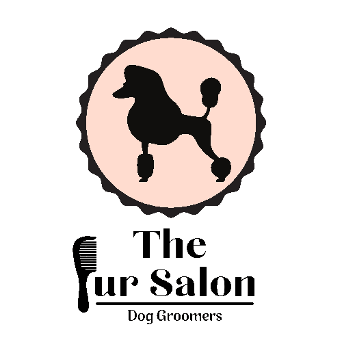 The Fur Salon Dog Grooming service in Oldham, Styling & Bath 'n' Dry